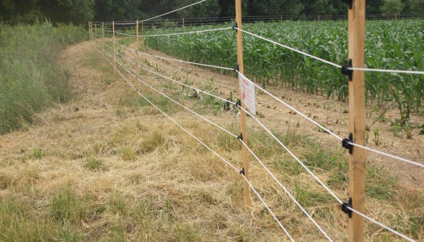 Vinex villanypásztor mezőgazdasági kerítés