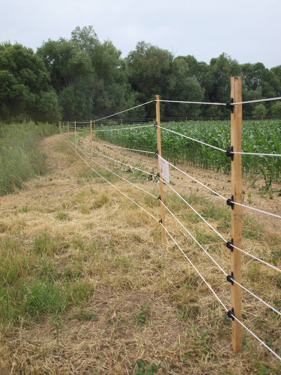Vinex villanypásztor mezőgazdasági kerítés
